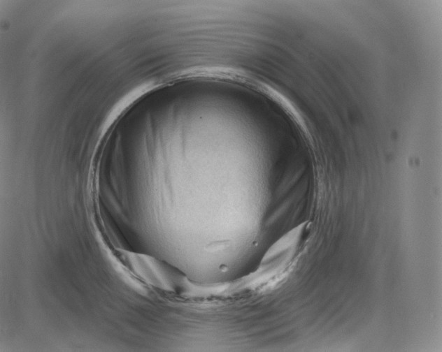 X0000083611050200702260923