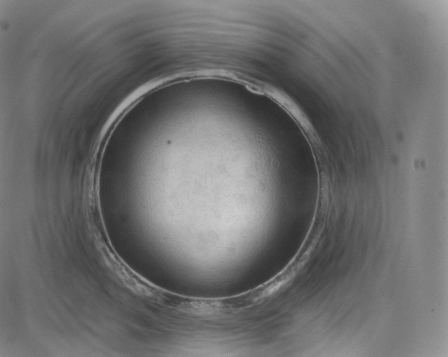 X0000083611052200702260923