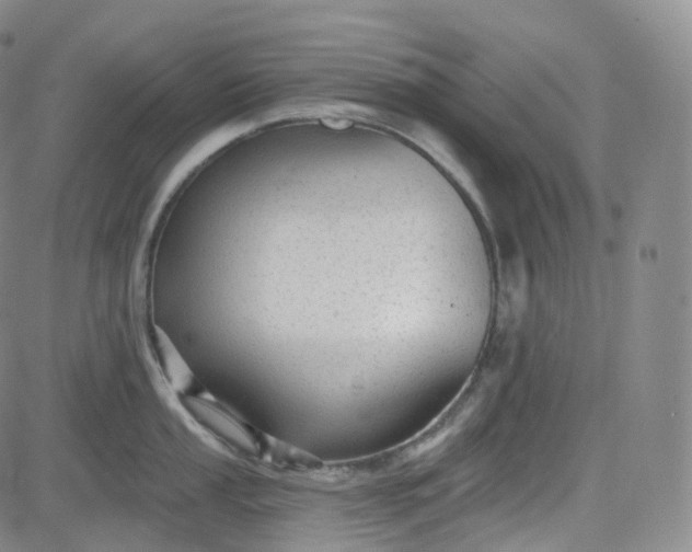 X0000083611053200702260923