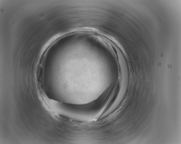 X0000083611054200702260923