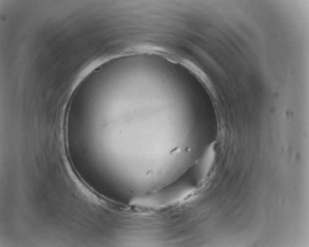 X0000083611055200702260923