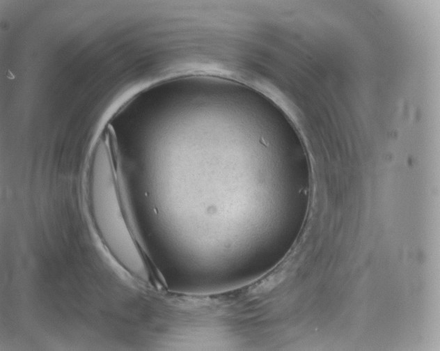 X0000083611056200702260923