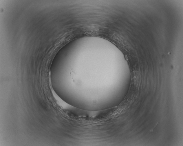 X0000083611057200702260922