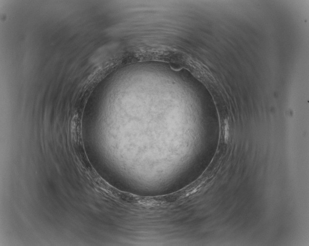 X0000083611059200702260922