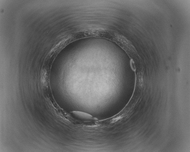 X0000083611060200702260922