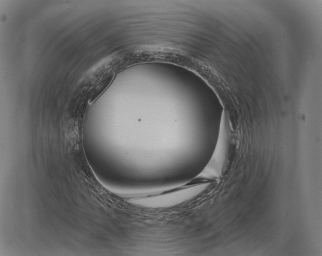 X0000083611062200702260922