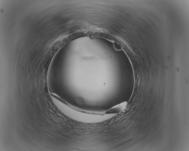 X0000083611063200702260922