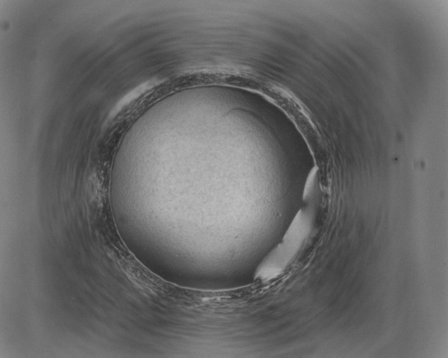 X0000083611064200702260922