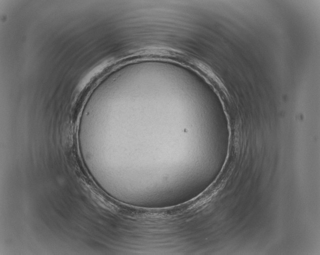 X0000083611067200702260922