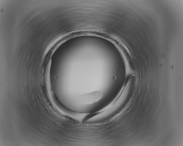 X0000083611069200702260922