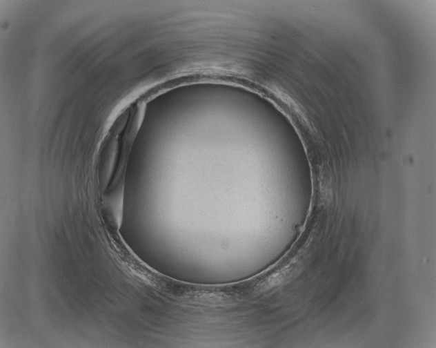 X0000083611070200702260922