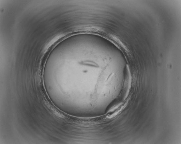 X0000083611071200702260922