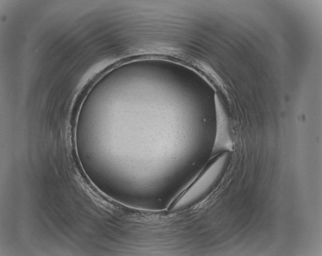 X0000083611072200702260922