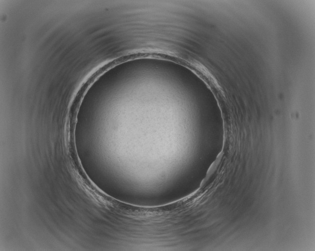 X0000083611076200702260922