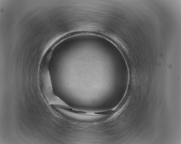 X0000083611077200702260922