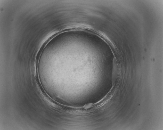 X0000083611079200702260922