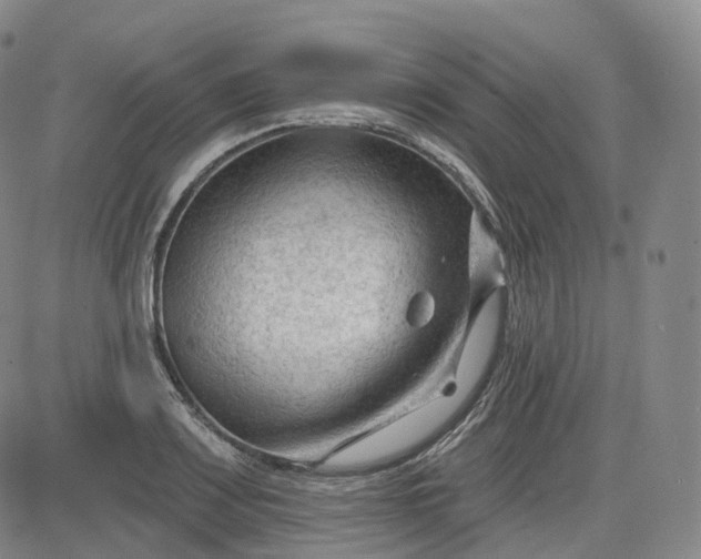 X0000083611083200702260922