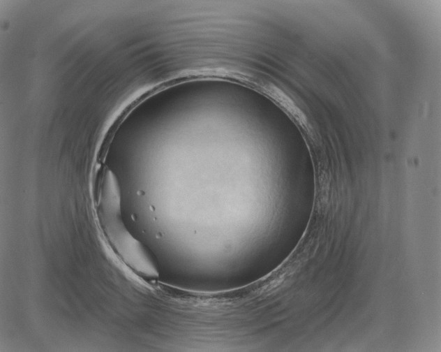 X0000083611084200702260922