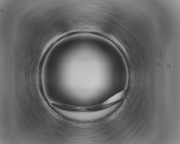 X0000083611085200702260922