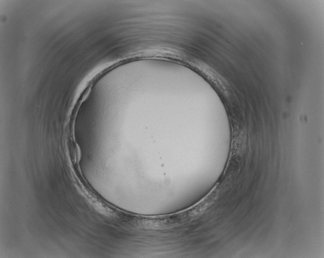 X0000083611086200702260922