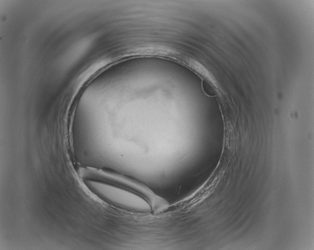 X0000083611087200702260922