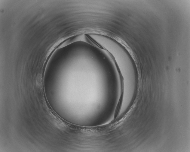 X0000083611089200702260922