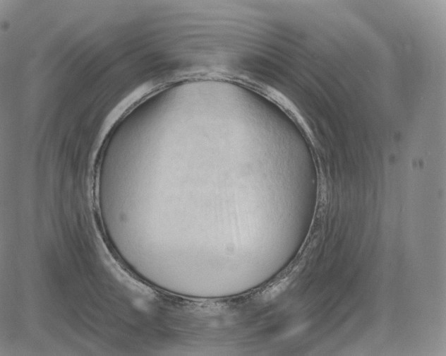 X0000083611090200702260922