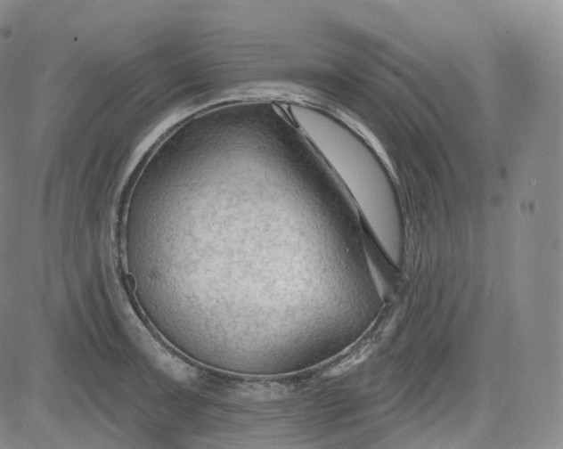 X0000083611091200702260921