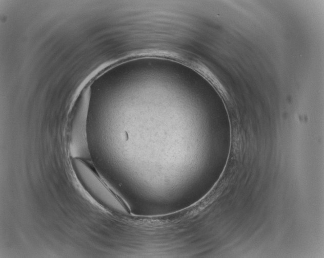 X0000083611092200702260921