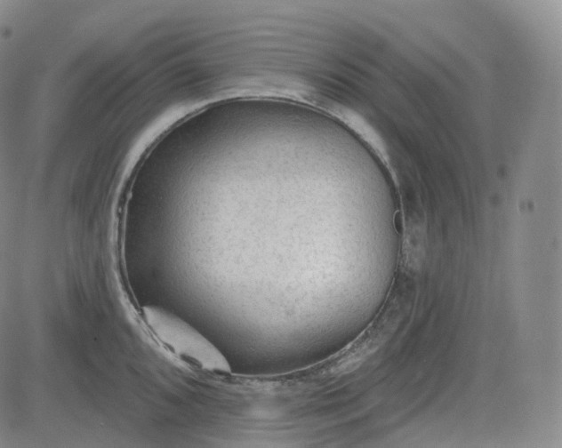 X0000083611096200702260921