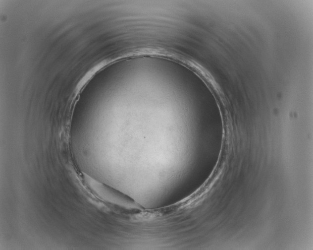 X0000083611097200702260921