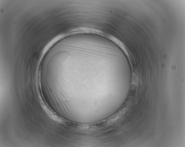 X0000083611098200702260921