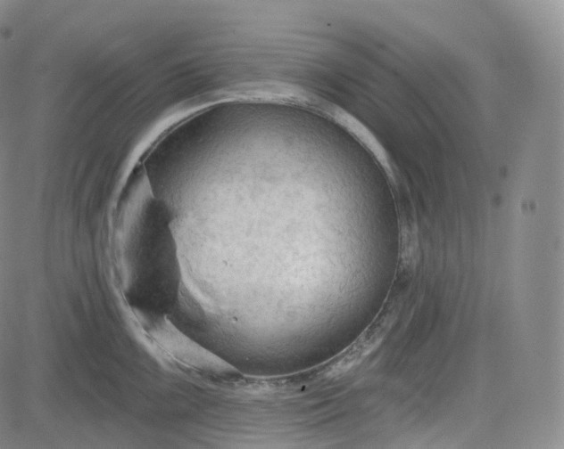 X0000083611099200702260921