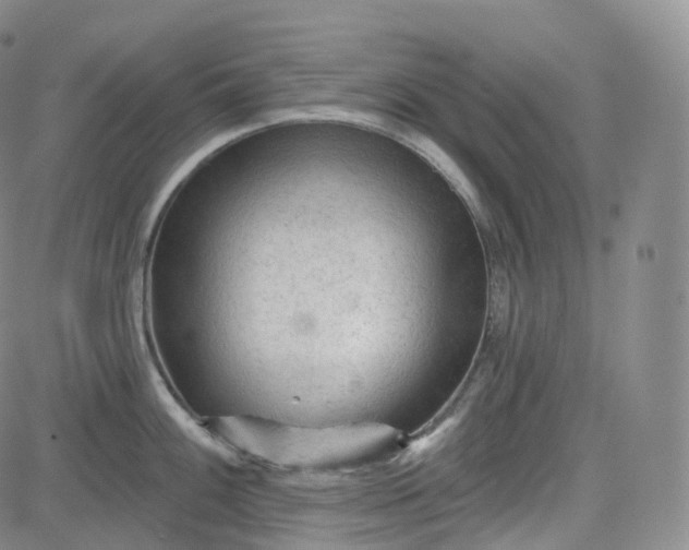 X0000083611100200702260921