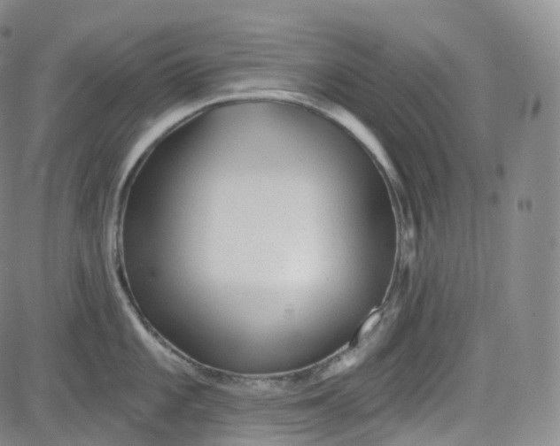 X0000083611101200702260921