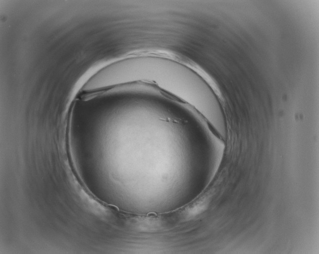 X0000083611102200702260921