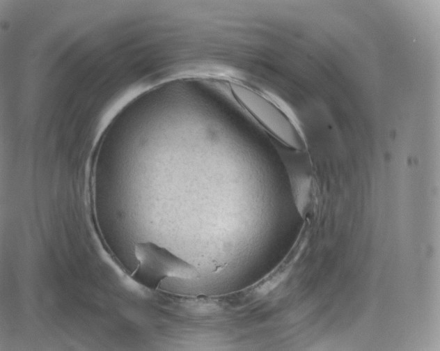 X0000083611103200702260921