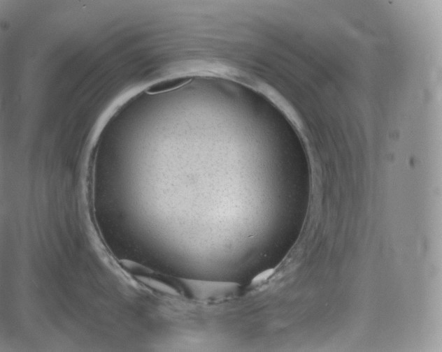 X0000083611104200702260921