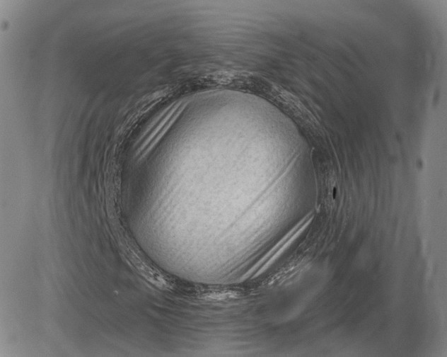 X0000083611105200702260920