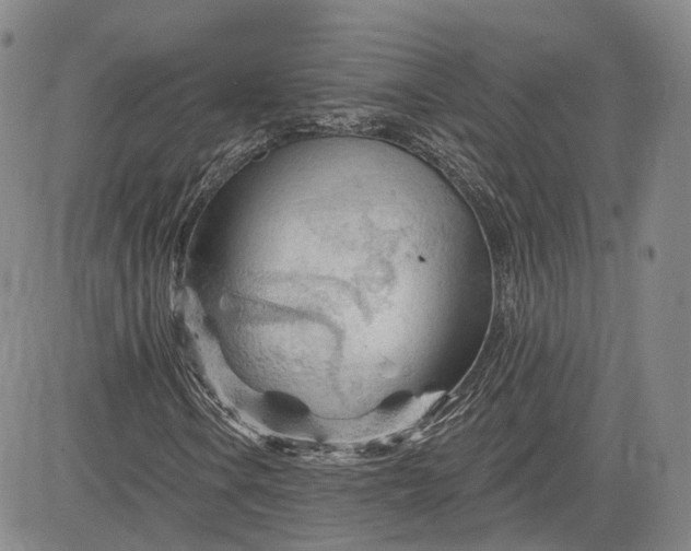 X0000083611106200702260920