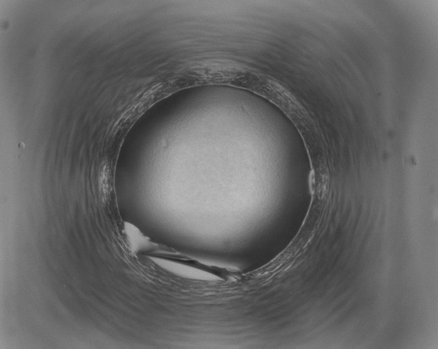 X0000083611108200702260921