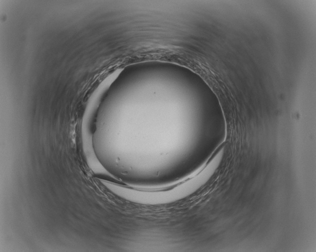 X0000083611109200702260921