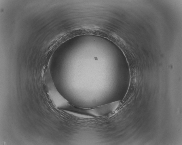 X0000083611110200702260921