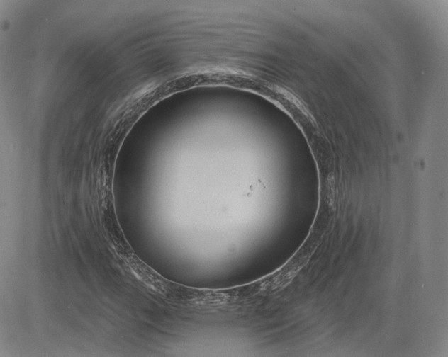 X0000083611111200702260921