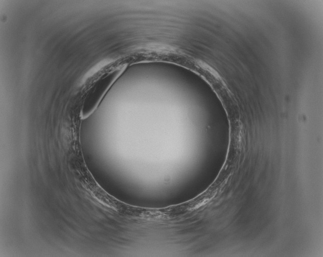 X0000083611112200702260921