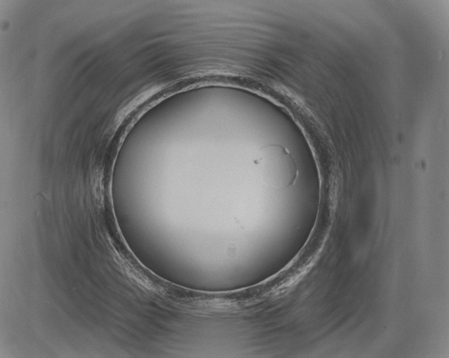 X0000083611113200702260921