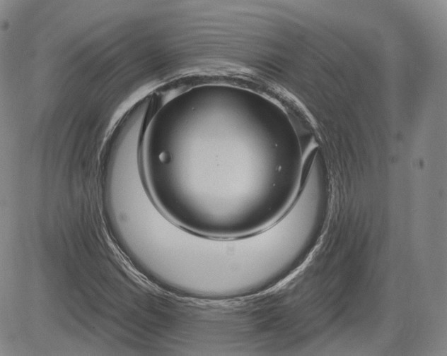 X0000083611114200702260921