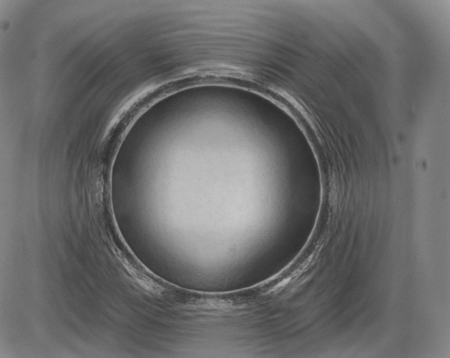 X0000083611115200702260921