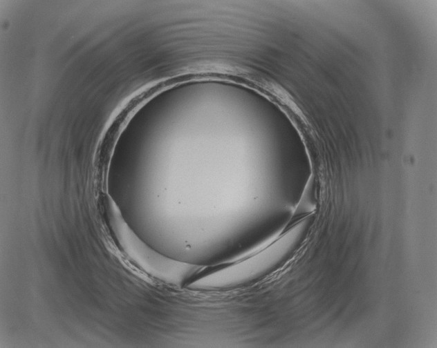 X0000083611116200702260921