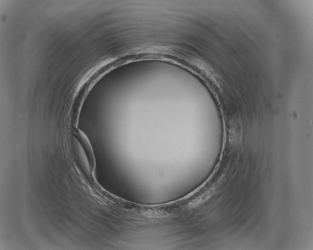 X0000083611117200702260921